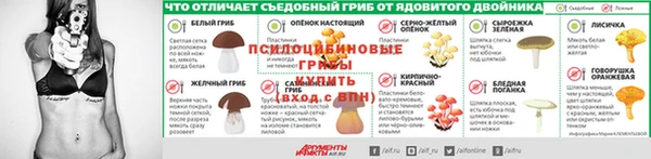 амф Новозыбков