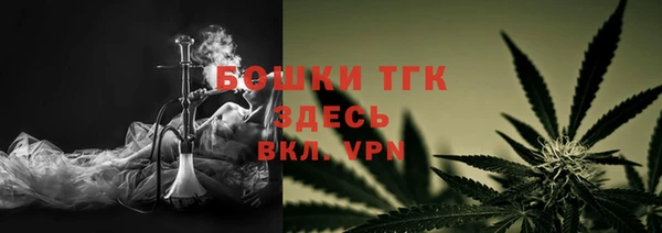 амф Новозыбков