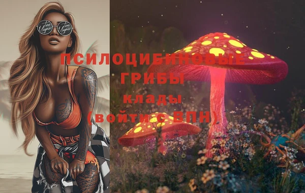 ECSTASY Няндома