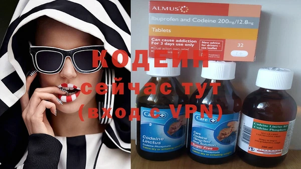 амф Новозыбков