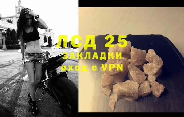 индика Новокубанск