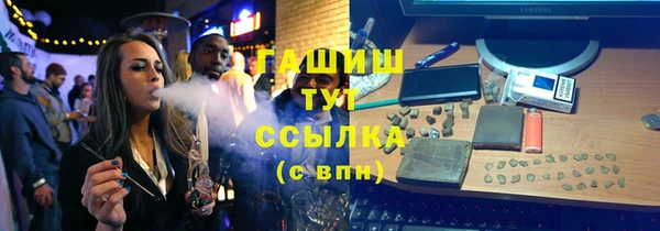 индика Новокубанск